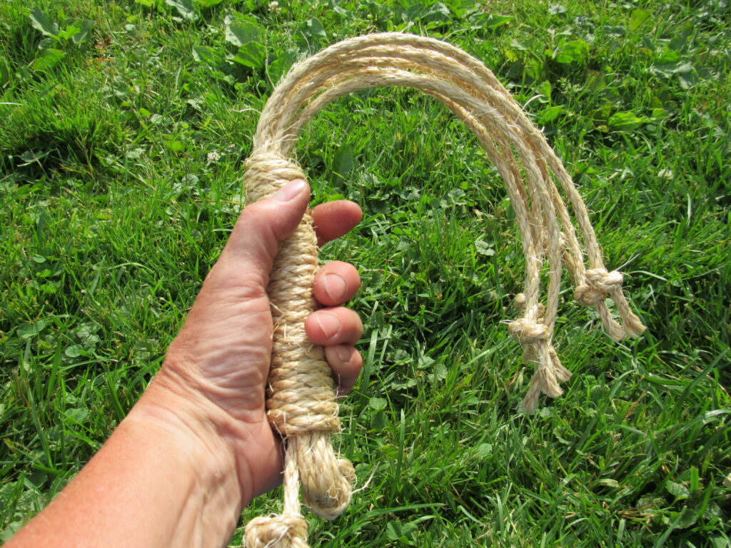 17" Standard Size Discipline Whip held