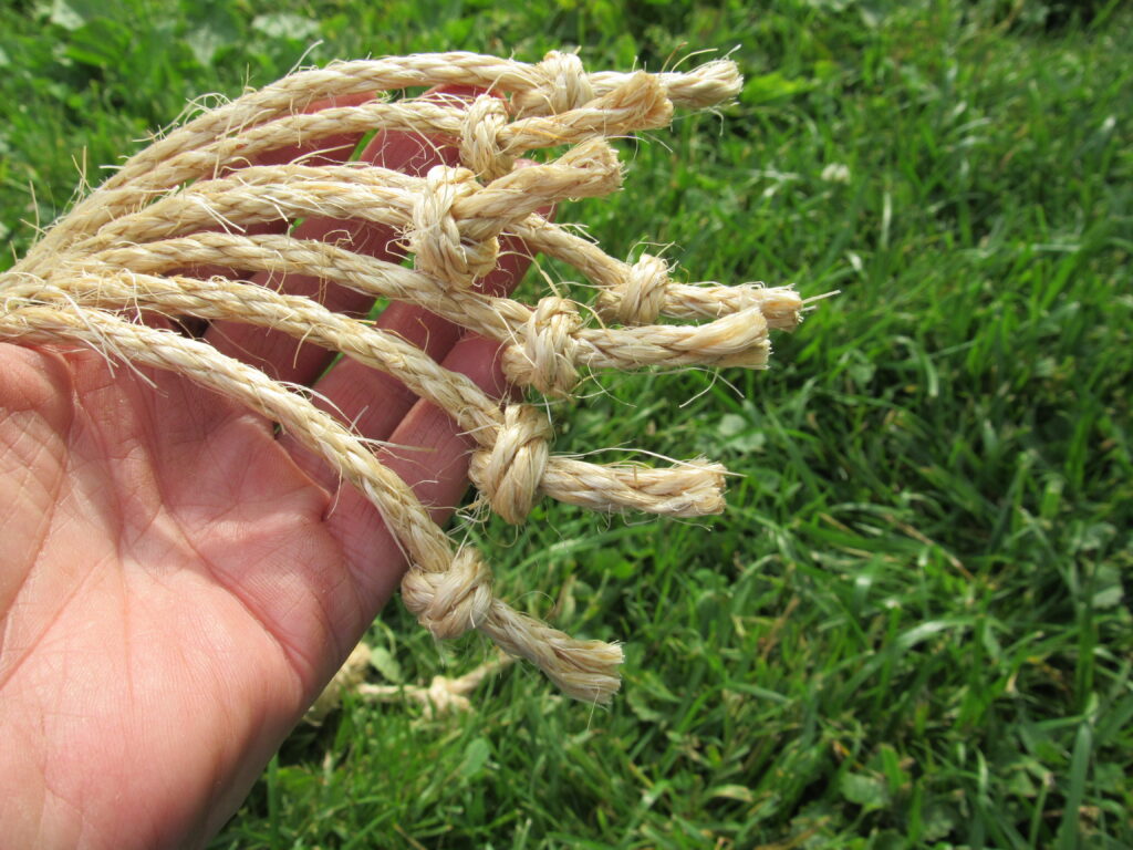 17" Standard Size Discipline Whip seven knots