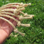 17" Standard Size Discipline Whip seven knots