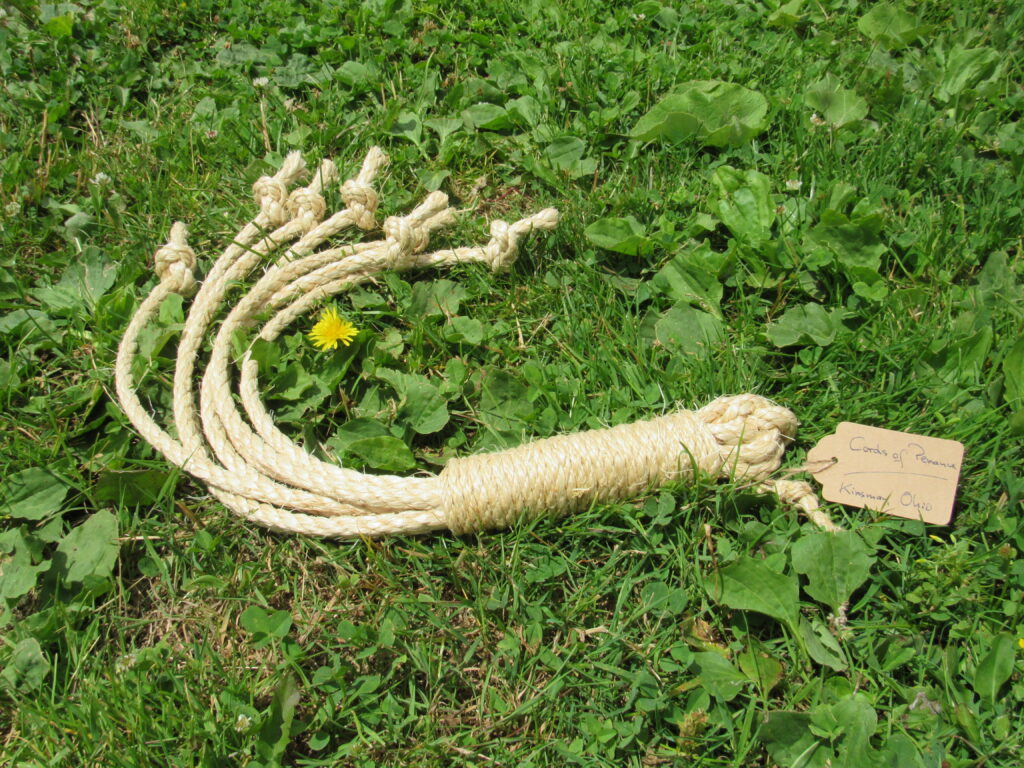 Jumbo Size Disciplne Whip