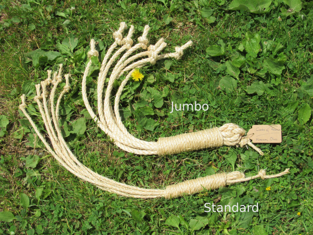 Size comparison between a standard size discilpine and a jumbo size discilpine