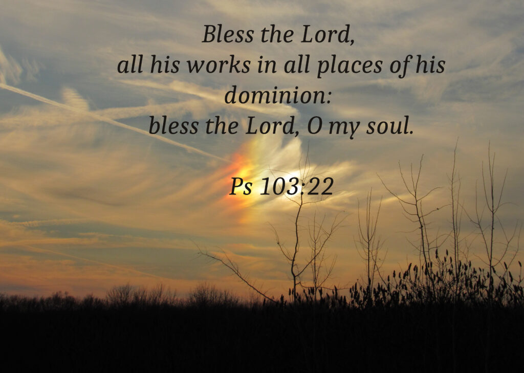 Bless the Lord, 
all his works in all places of his dominion: 
bless the Lord, O my soul.
Ps 103:22
