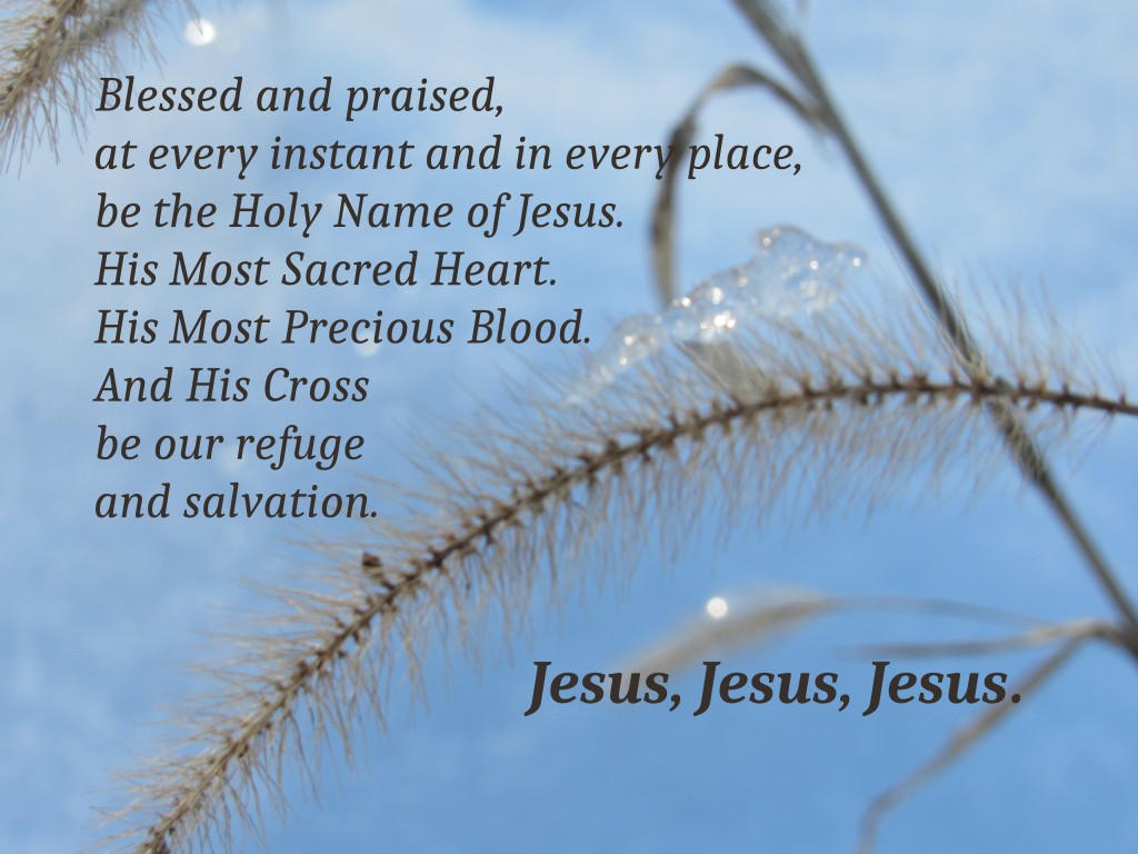 “Blessed and praised, at every instant and in every place,
be the Holy Name of Jesus. His Most Sacred Heart. His Most Precious Blood.
And His Cross be our refuge and salvation. Jesus, Jesus, Jesus.”