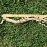 Cat-o'-Nine-Tails size