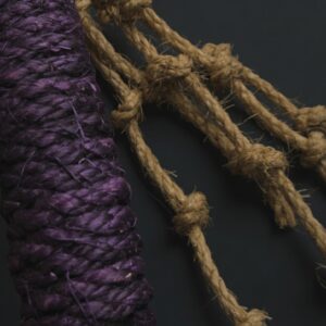 Purple Edition Cat-O'-Nine-Tails Rope Whip