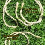 Sisal Rope Cilices