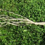 Beaded Hemp Cat-O'-Nine-Tails Whip 27 inches