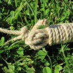 Grip end