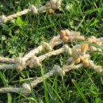 Evenly Spaced Knots